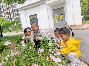 小一班：小花园